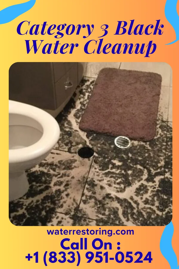 Category 3 Black Water Cleanup in Waterview, MD