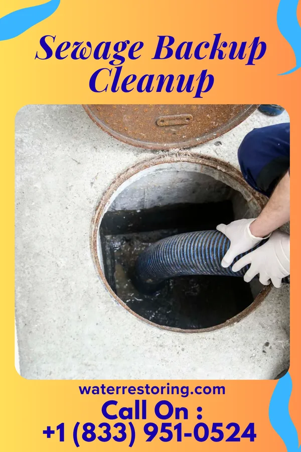 Sewage Backup Cleanup in Waterview, MD