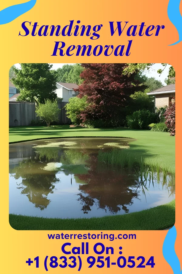 Standing Water Removal in Waterview, MD